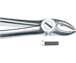 Zahn- und Wurzelzangen