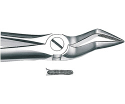 Zahn- und Wurzelzangen