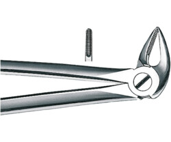 Zahn- und Wurzelzangen