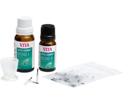 Vita Vionic Base Resin Flex